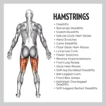 Logo of All Hamstrings Exercises android Application 